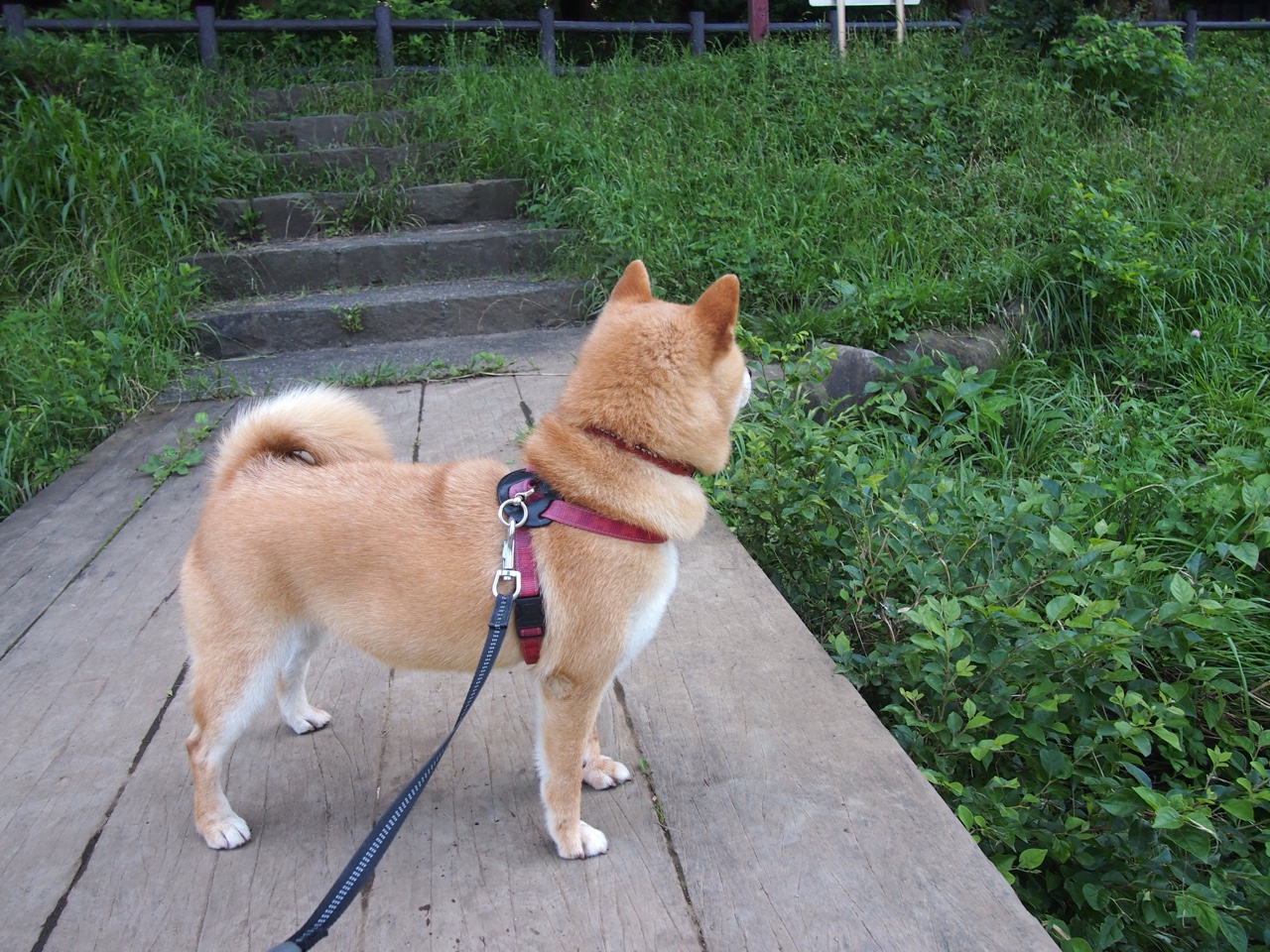 爱游戏体育平台-最新排名：争冠、欧战和保级区球队最新动态，欧战联赛积分榜