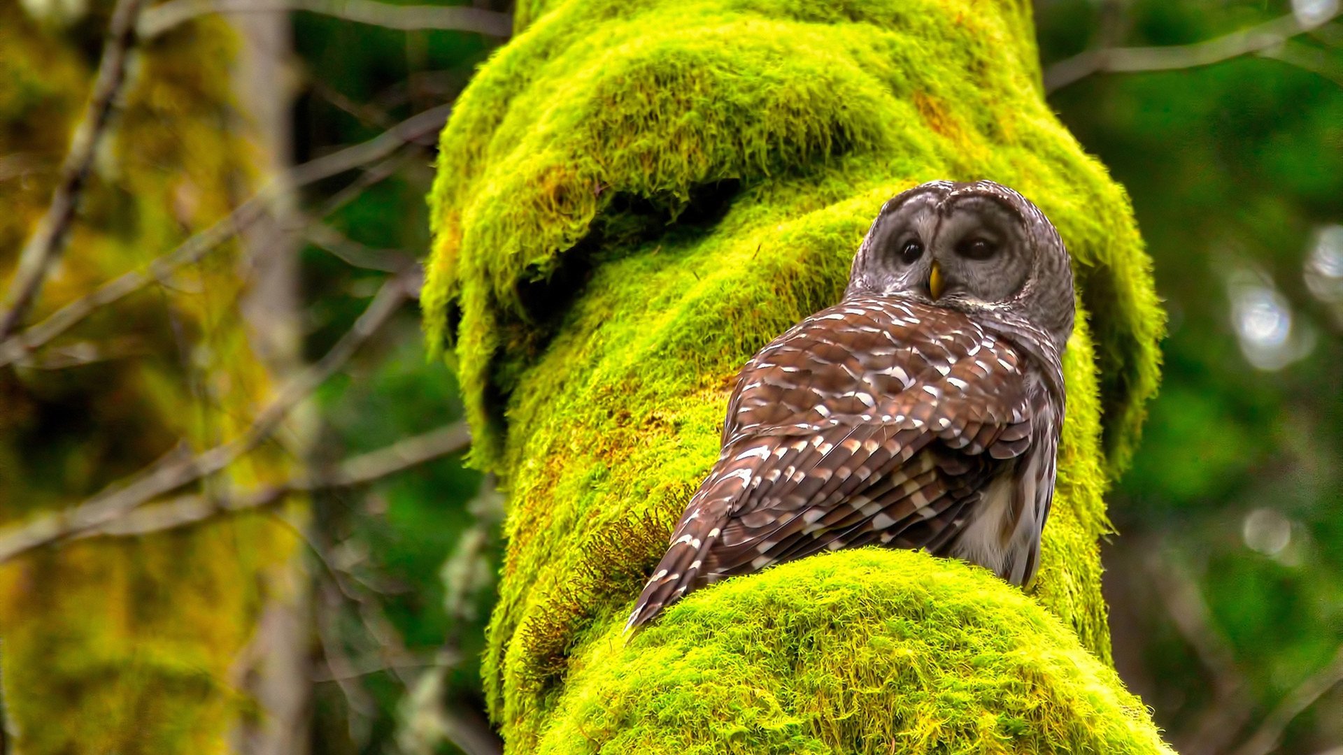C9举办线下粉丝见面会，九月粉丝见面会
