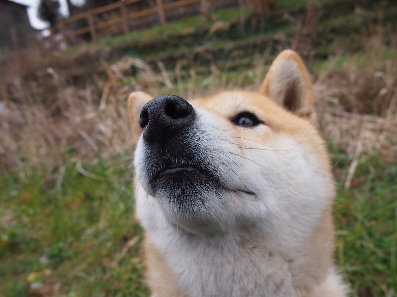 爱游戏电竞-EDG执行团队完成心理辅导认证，rng心理辅导师