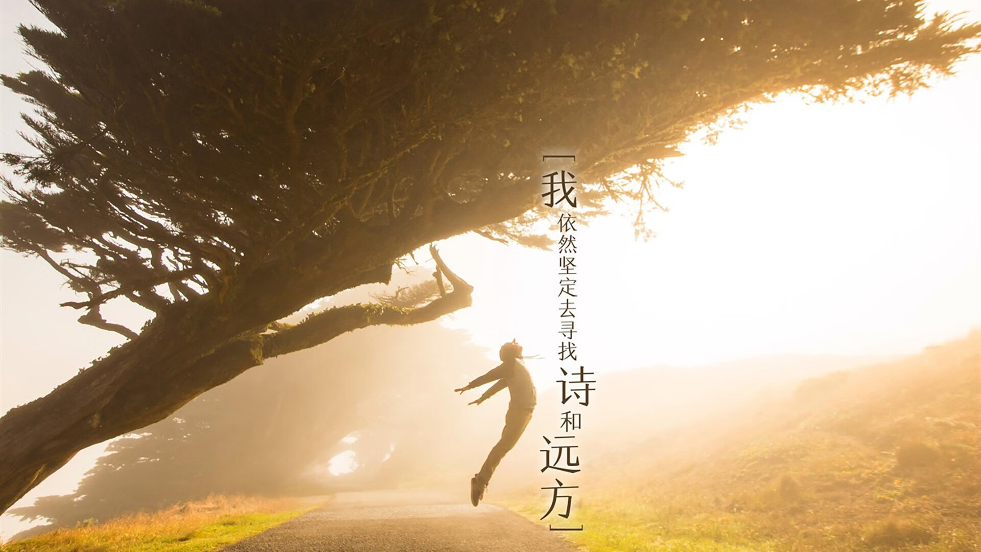 爱游戏综合娱乐-上海海港战术打法多样化，上海海港阵型