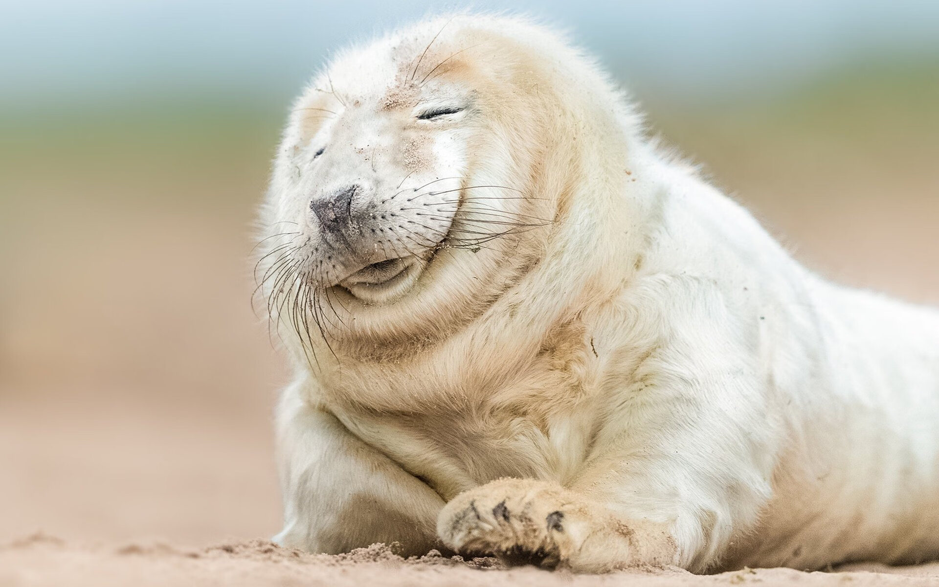 乌克兰战胜科索沃，小组出线仍有机会，乌克兰打俄罗斯2天前