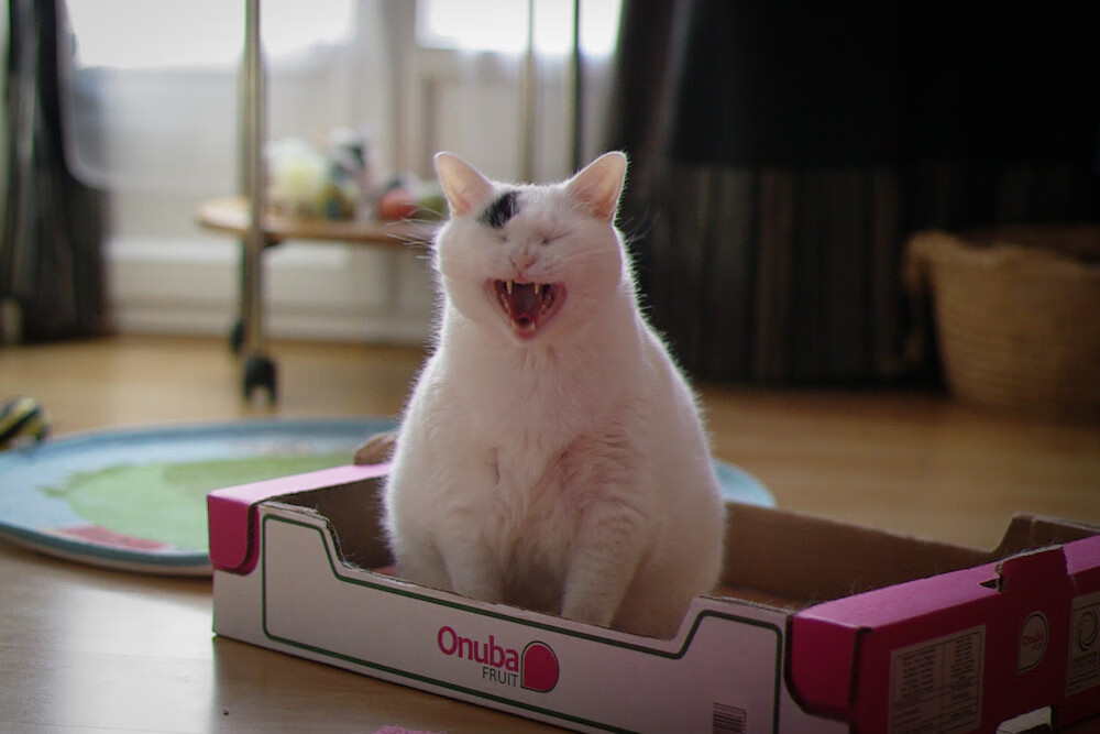 爱游戏app-传奇球员再次登场，展现实力与经验，传奇球员名单