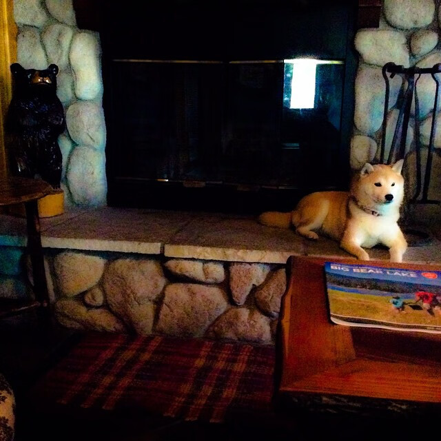 爱游戏综合娱乐-决赛分组揭晓，皇马巴萨再剑指冠军，欧冠决赛八强