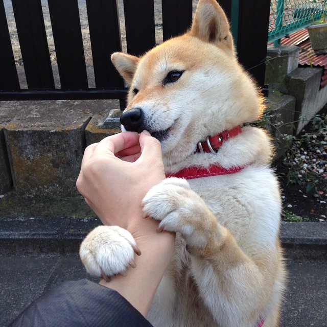 爱游戏娱乐平台-电竞游戏版本更新对职业联赛战略调整的深远影响分析，电子竞技版本变化太频繁