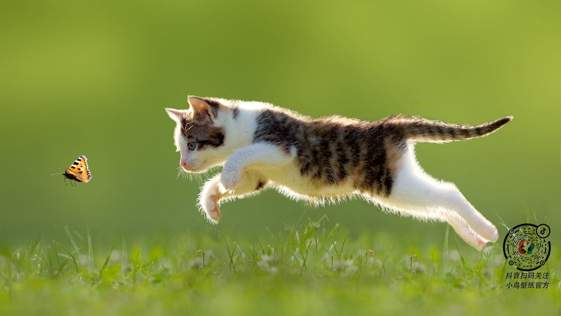 萨斯塔维取胜，继续守住不败记录，萨维塔实力