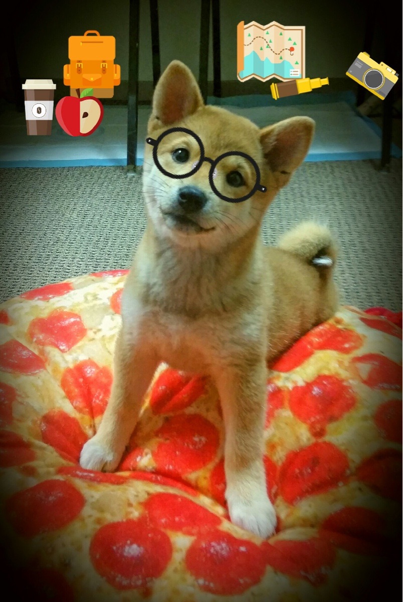 足球比赛中哪位球员表现最出色,值得称赞?,足球比赛有谁