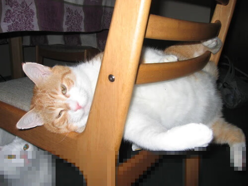 高压对抗：场上气氛紧张，双方拼尽全力，高压反应怎么办