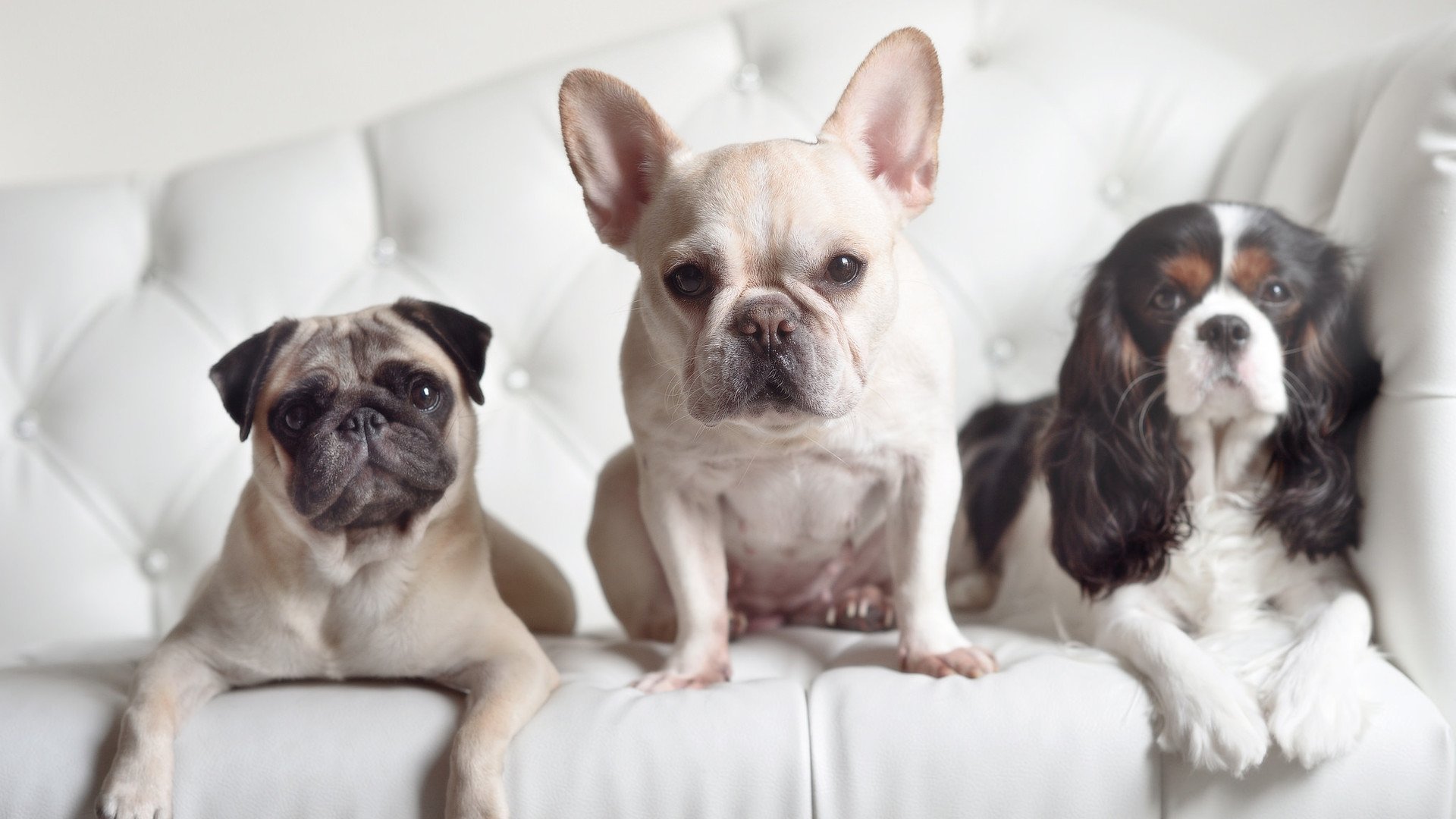 中国足球替补登场影响力排名,国足替补队员名单