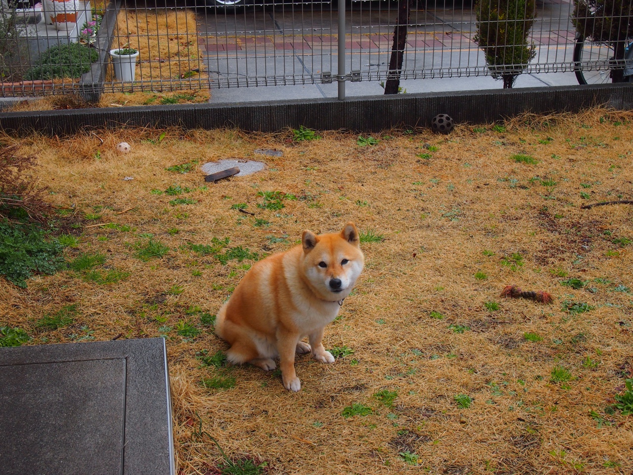 意甲球队结合视觉模拟与数据建模优化守转攻效率，意甲传统强队