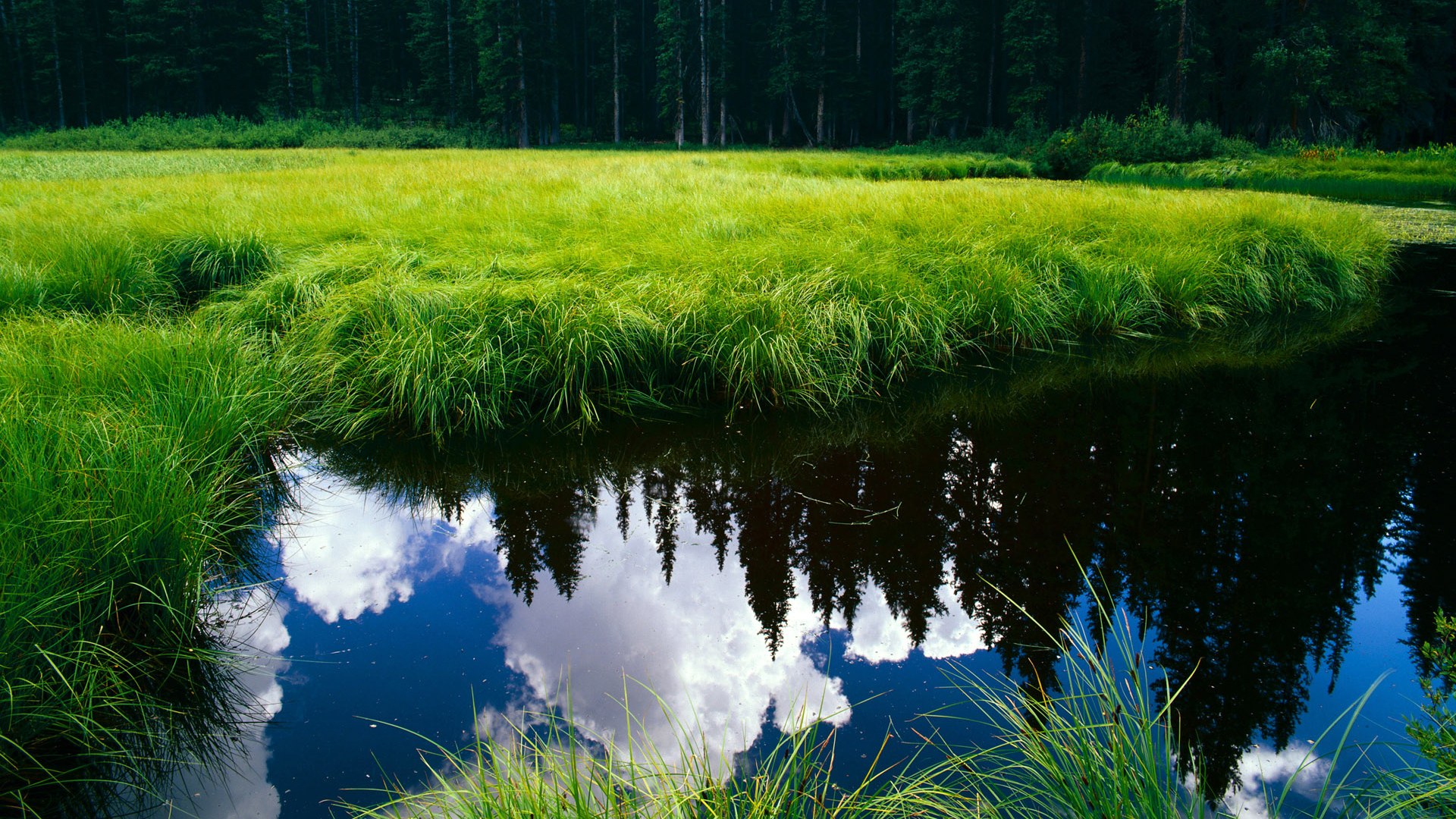 爱游戏体育（AYX）官方APP下载-法甲球队通过数据可视化辅助战术决策实证分析