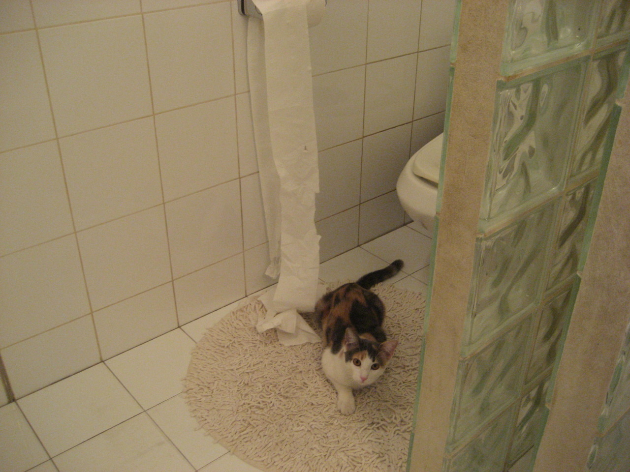 AYX官网-英超球队基于AI模型优化快速反击效率研究，英超技术流