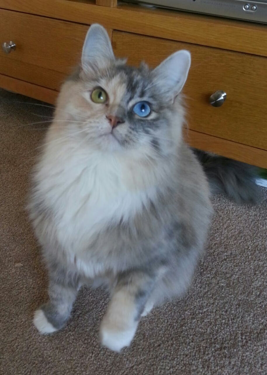 爱游戏下载-中国男篮全员积极参与公益活动，中国男篮国家队赞助商