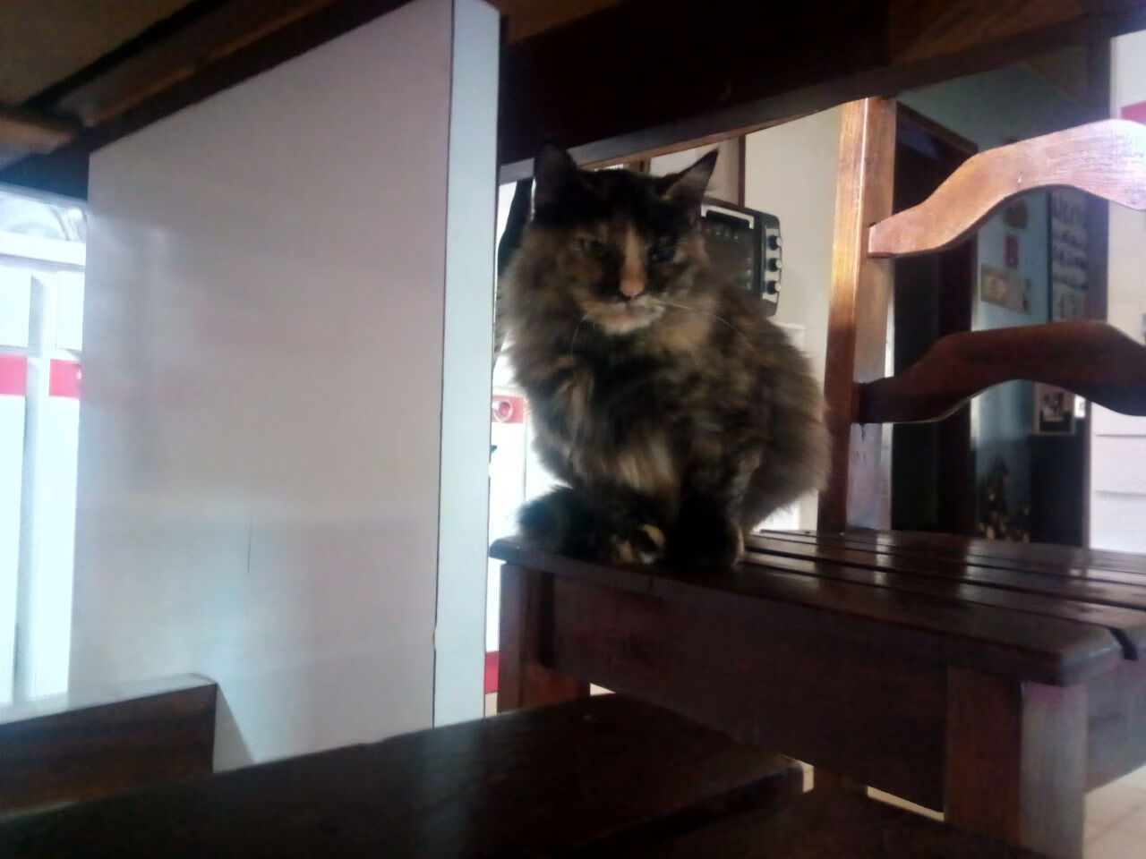 中国香港队赛制深度分析：如何通过战术优化提升整体表现，香港的比赛