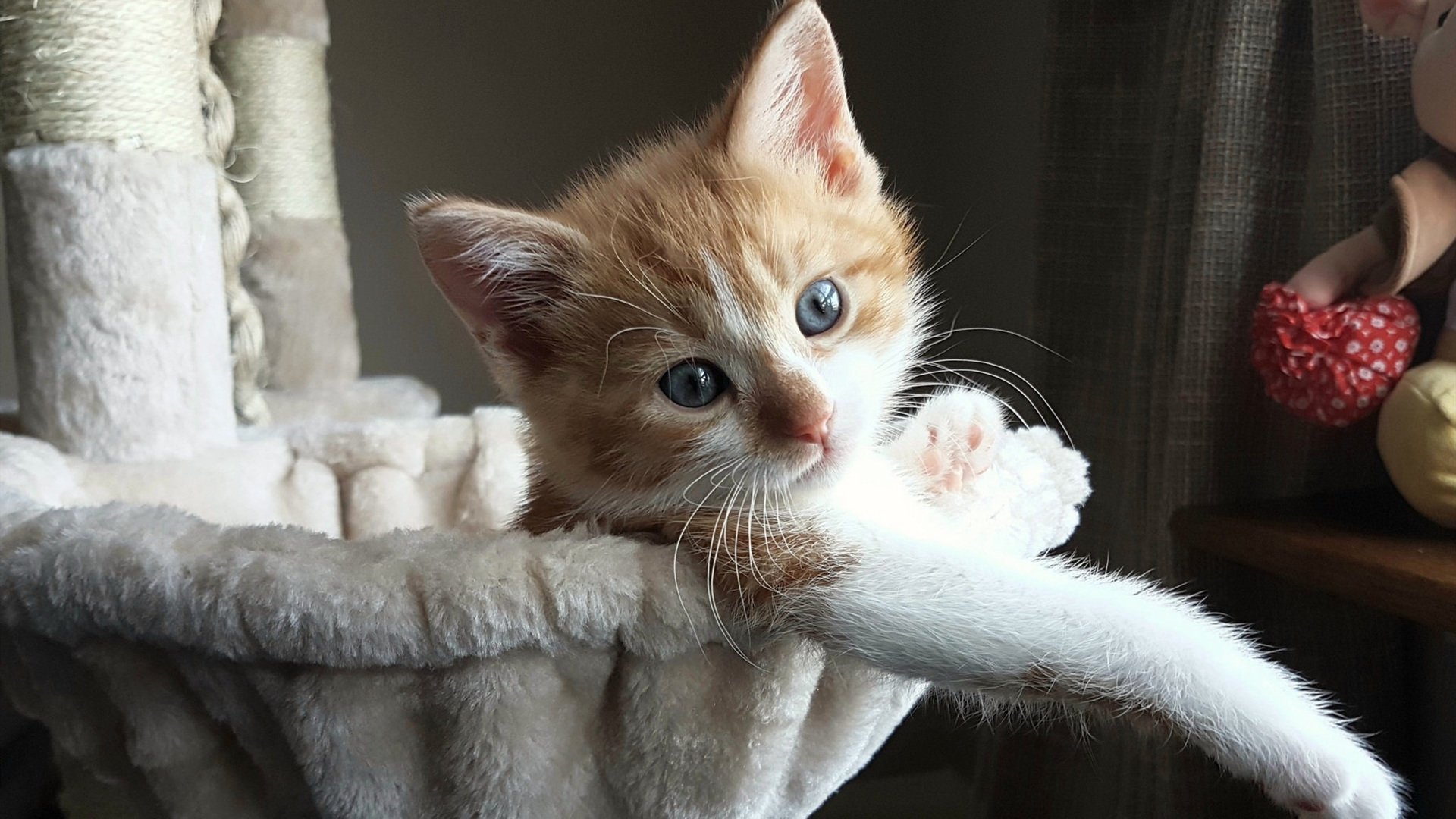 体育新闻中心启动体育产业研究协同发布机制，体育产业新发展格局