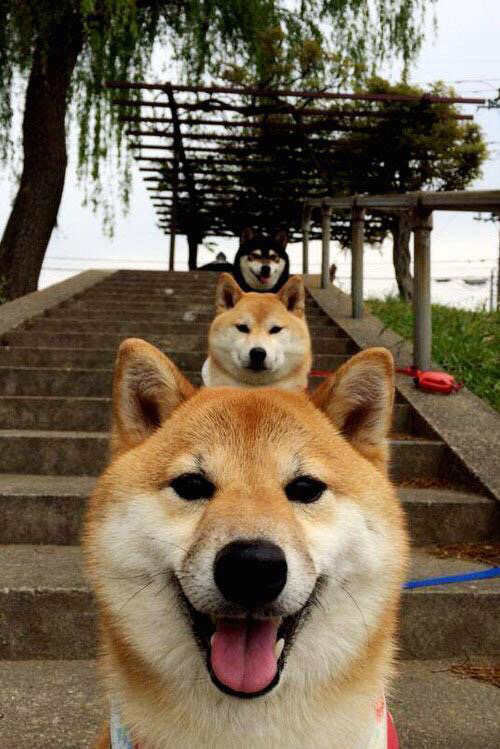 俱乐部财务管理混乱频发，俱乐部会计的主要职责