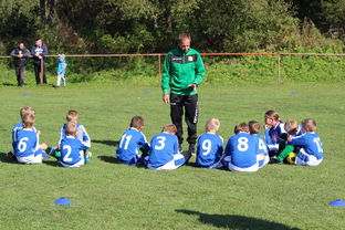 爱游戏体育官方网站-澳大利亚队如何通过团队赛制战术，在大赛中脱颖而出，澳大利亚队伍