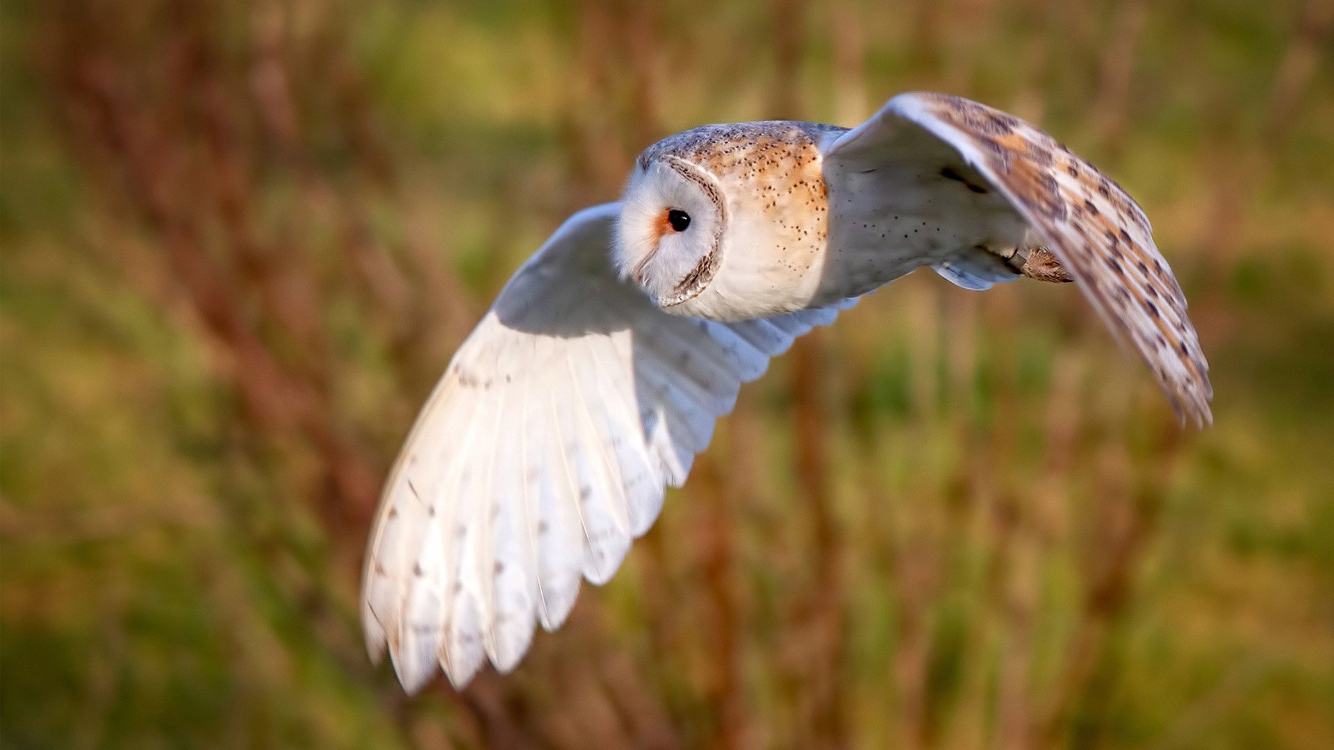 转身动作时间数据优化策略，转身动作素材