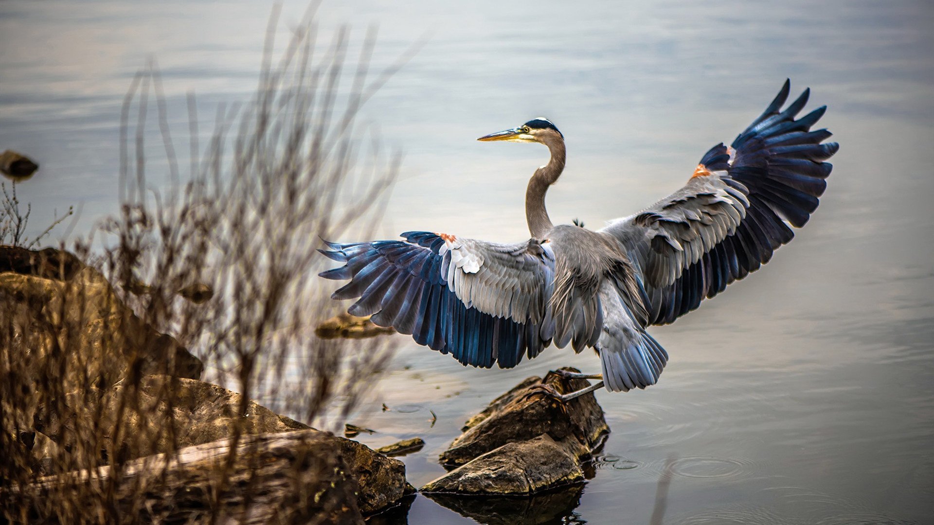 以足球为主题的创意街区成为城市夜生活新亮点，足球夜场标语