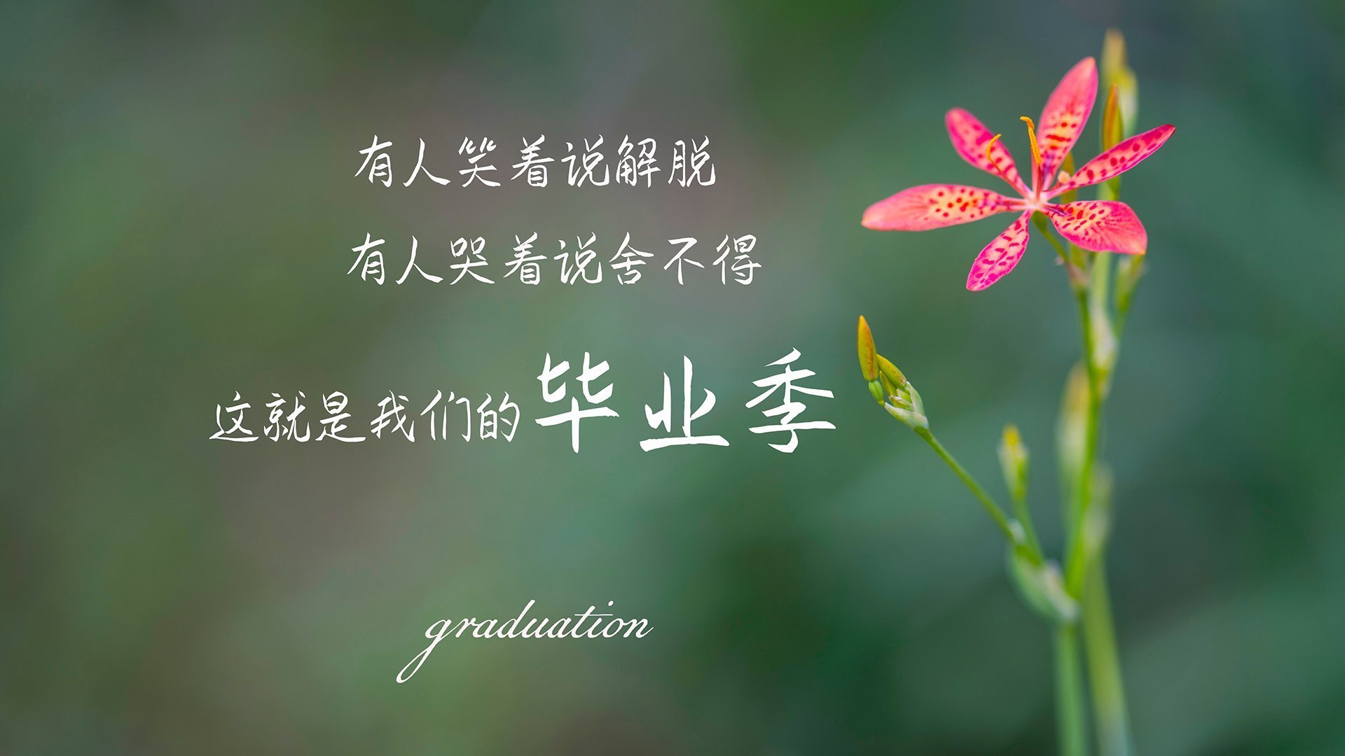 南非羚羊队的进攻体系：宽阔场地上快速打击，直指对方心脏，南非羚羊皮可以干嘛用