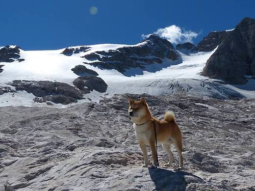 欧洲杯激情 mengg运动：持续不断精彩！，can you hear me 欧洲杯