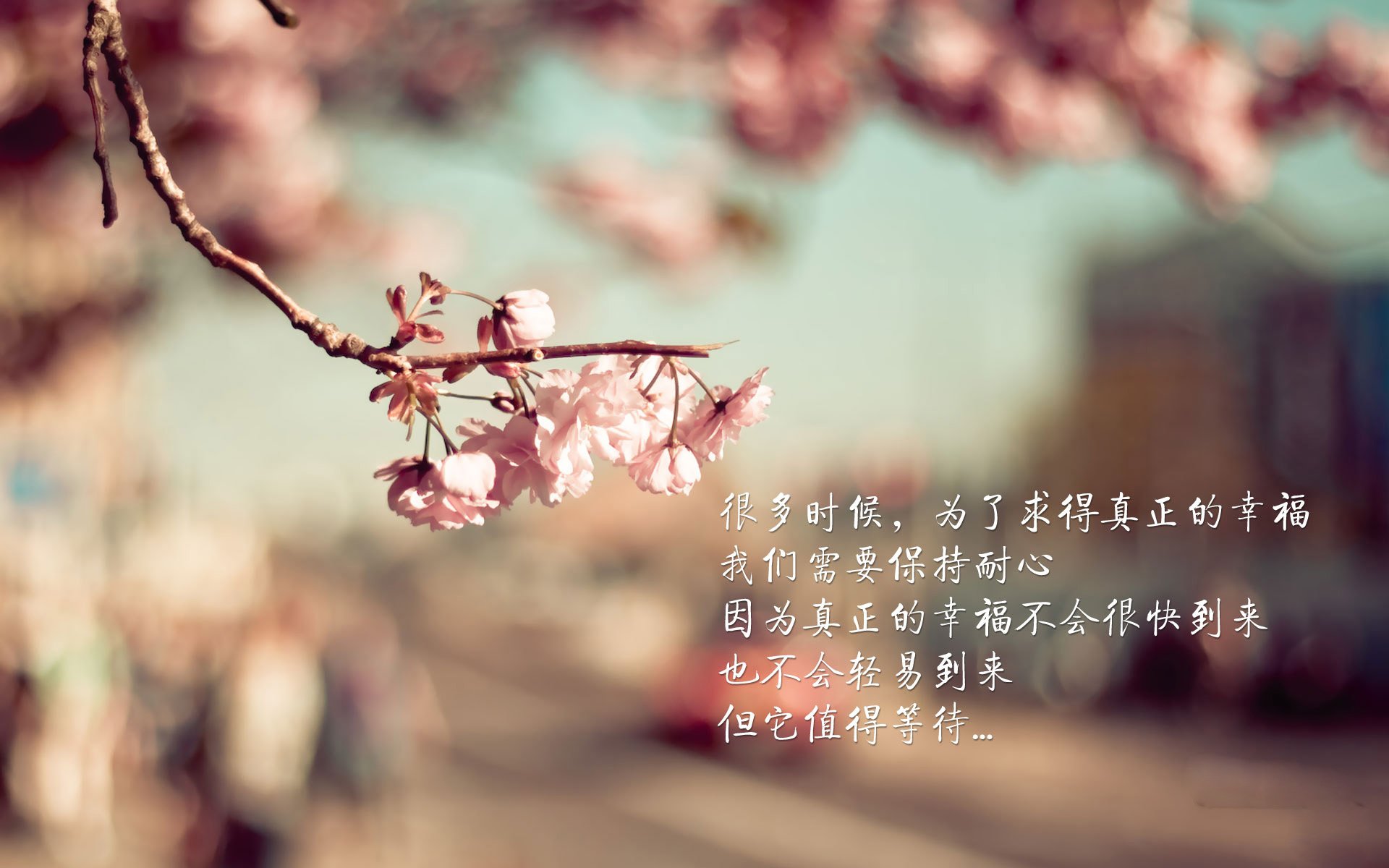 AIYOUXI.COM-萨默·麦金托什决赛表现引发媒体关注，麦金托什是谁